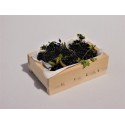 Cagette de raisins noirs (5cm de long)