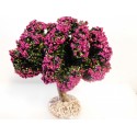 Arbre tronc bois, fleuri rose violine 12cm de haut